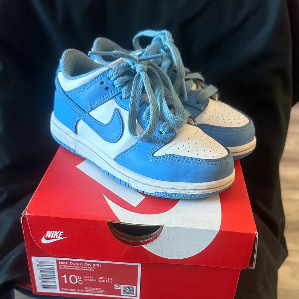 Carolina dunk low